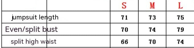 Backless Black Haltertop Swimsuit