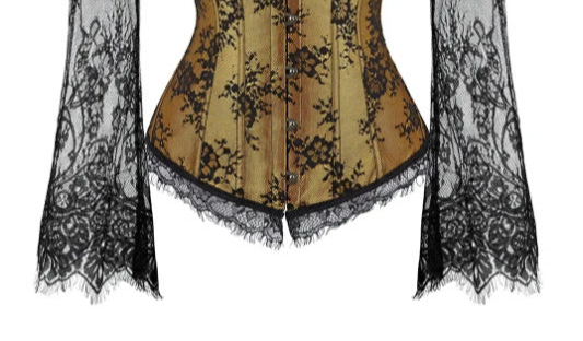 Goth Brown Sleeved Corset lace