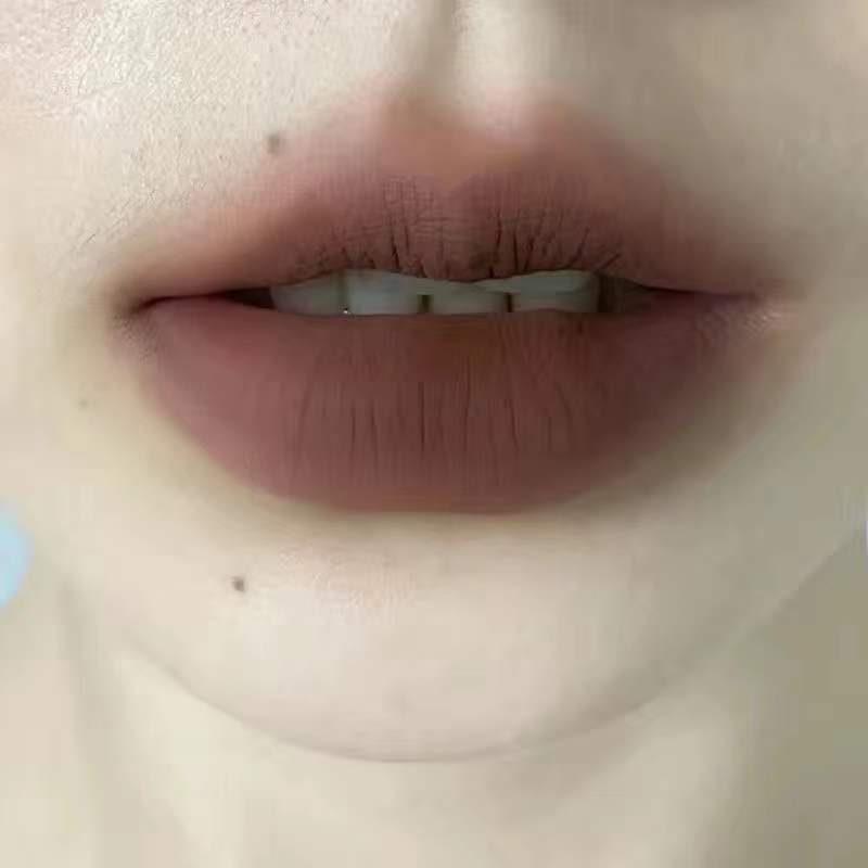 gothic Purple Red Matte Liquid Lipstick